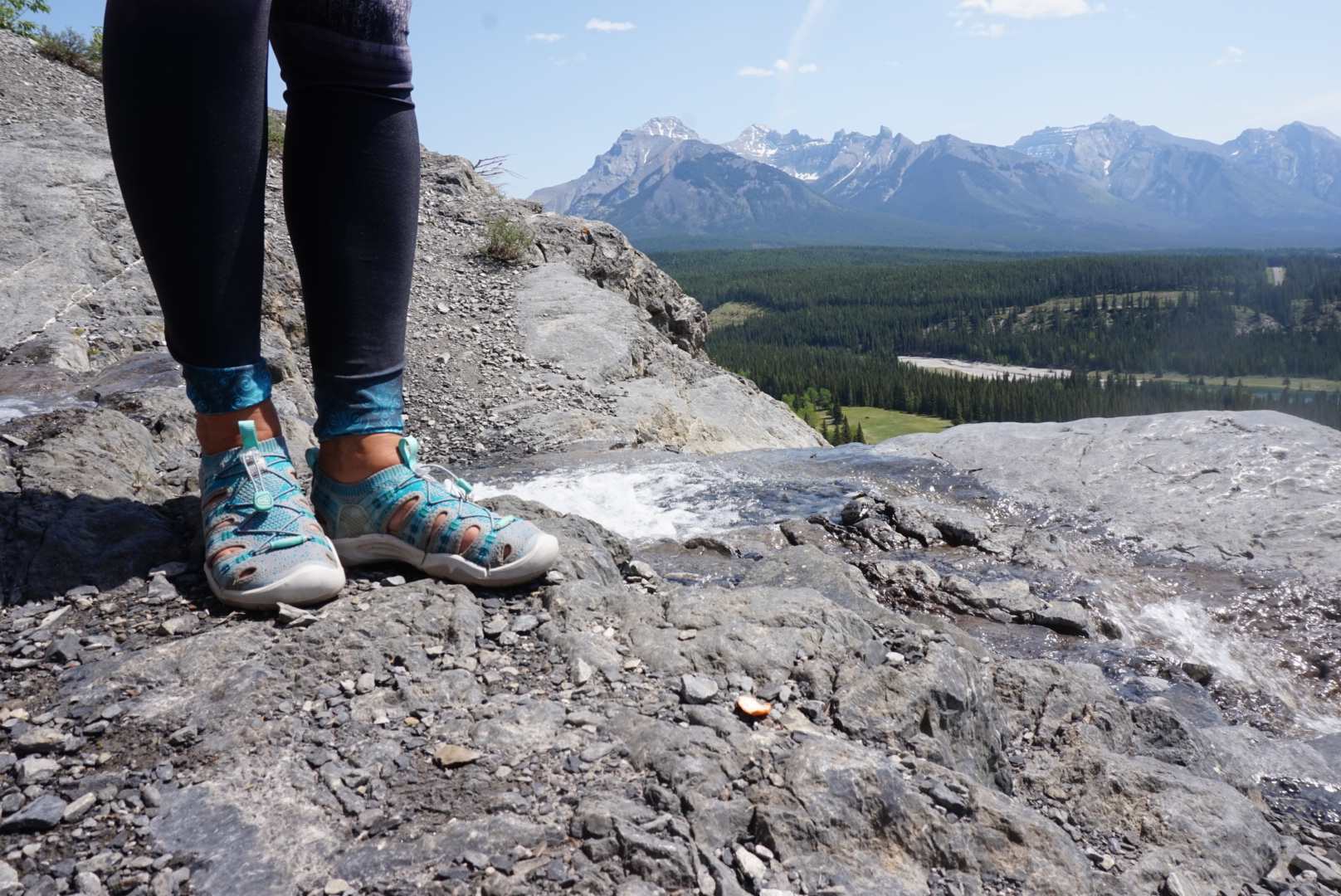 Photo 2018-06-07, 12 27 17 PM