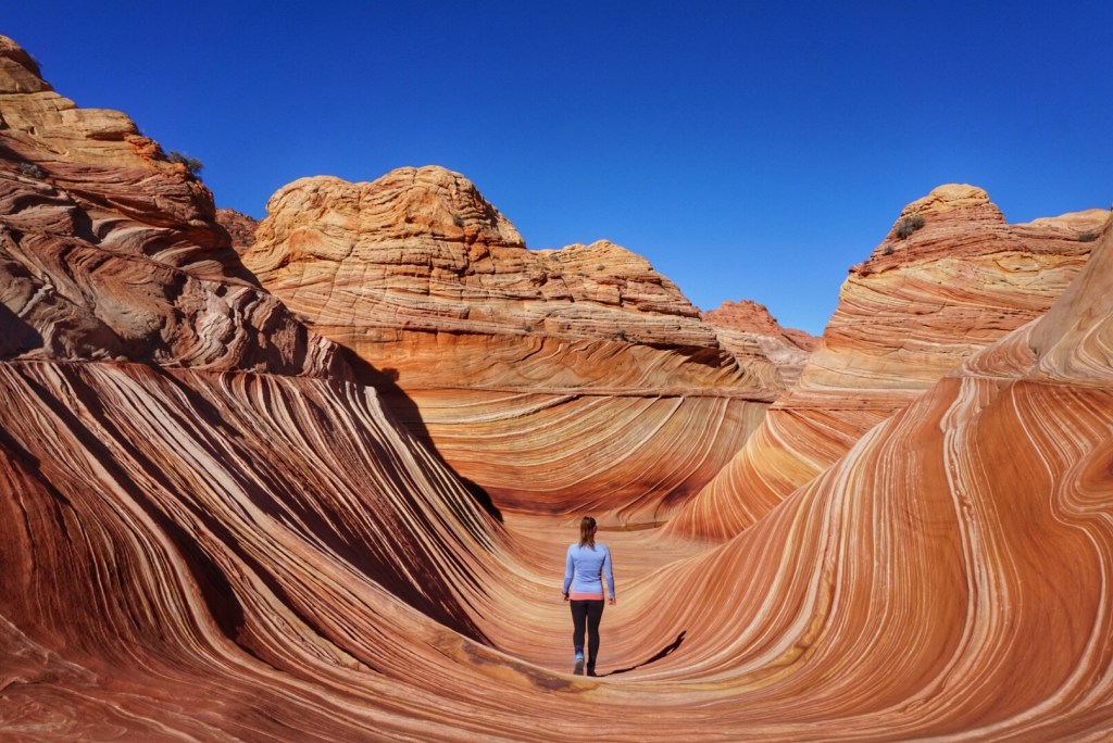 Winning the Lottery- The&nbsp;Wave